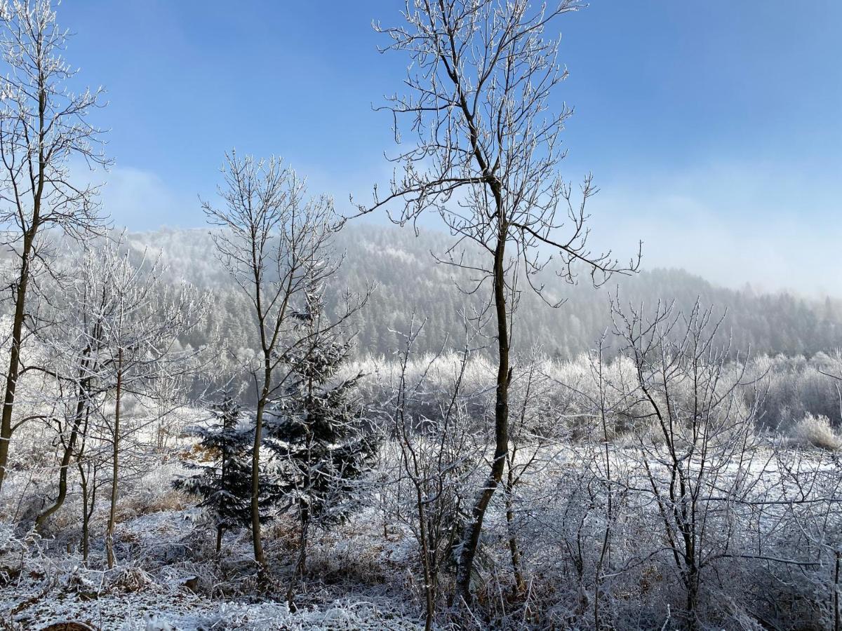 Pokoje Goscinne Pod Jaworem - Obok Pieknego Szlaku Wzdluz Rzeki Bialka, 1Km Do Stokow Kotelnica Exterior foto